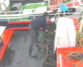 PESCA 12  GANADO